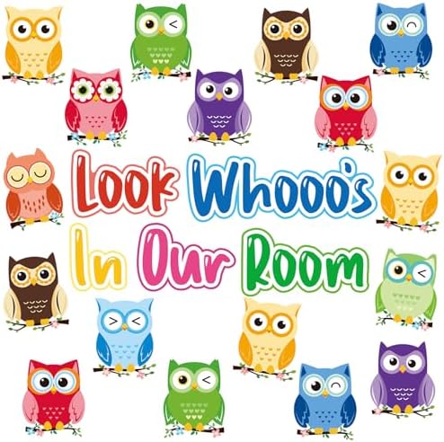 Owl Bulletin Board Decorations Set Owl Classroom Decor Owls Paper Cutouts Name Tags Labels for Classroom Decoration Back to School Party Supply